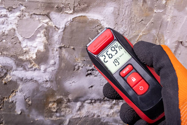 Best Crawl Space Mold Remediation in Stevensville, MT