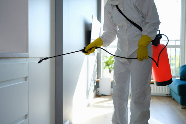 Best Attic Mold Remediation in Stevensville, MT